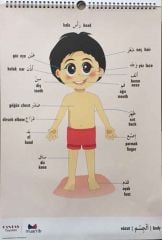 Görsel Arapça İngilizce Türkçe Kelime Afişi Sprialli