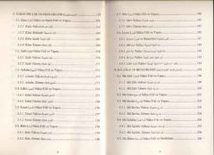 Arapça İsim Cümlesini Yeniden Yapılandıran Amiller