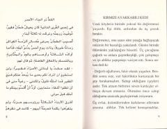 Arapça Hikayeler Kırmızı Ayakkabılı Kedi