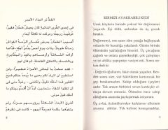 Arapça Hikayeler Kırmızı Ayakkabılı Kedi