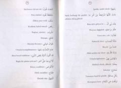 Enti Devmen Efdal Minni