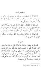 Siretu’l-Hulefai’r-Raşidin (Mubtedi)