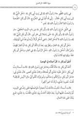 Siretu’l-Hulefai’r-Raşidin (Mubtedi)