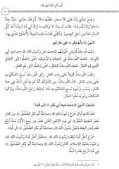 Siretu’l-Hulefai’r-Raşidin (Mubtedi)