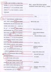 Arapça Türkçe Sözlük Dağarcık Yayınları