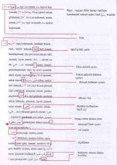 Arapça Türkçe Sözlük Dağarcık Yayınları