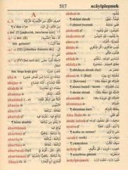 Toraman Arapça Türkçe - Türkçe Arapça Sözlük