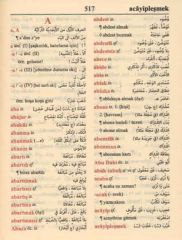 Toraman Arapça Türkçe - Türkçe Arapça Sözlük