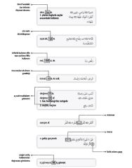 Türkçe-Arapça Kapsamlı Sözlük