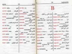 Türkçe Arapça / Arapça Türkçe Cep Sözlüğü