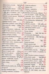 Alfabetik Türkçe Arapça - Arapça Türkçe Sözlük