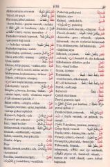 Alfabetik Türkçe Arapça - Arapça Türkçe Sözlük