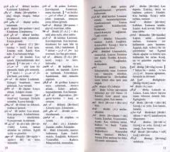 Farsça Türkçe Sözlük (Küçük Boy)