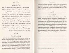 Farsça Öğrenim Seti Çözümlü Farsça Metinler 2