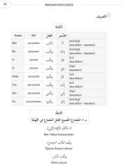 Arapçanın Mısır Lehçesi