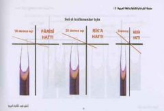 Arapça Hat Sanatı Öğreniyorum
