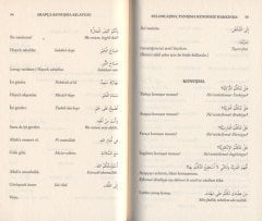 Kendi Kendine Pratik Arapça Konuşma Kılavuzu