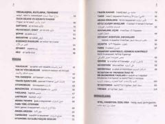 Irak Arapçası Konuşma Kılavuzu