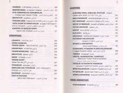 Irak Arapçası Konuşma Kılavuzu