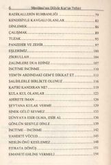 Mevlananın Diliyle Kuran Tefsiri