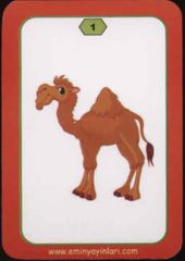 Arapça Resimli Kelime Kartları 1