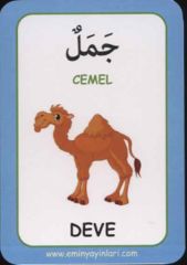 Arapça Resimli Kelime Kartları 1