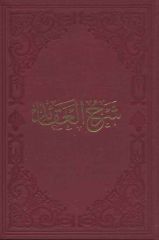 Şerhu Akaidul Nesefi