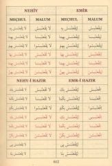 Arapçada Fiil ve İsim Çekimleri