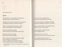 Modern Arap Edebiyatı Şiir Seçkisi