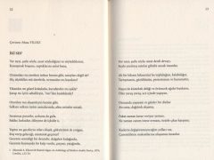 Modern Arap Edebiyatı Şiir Seçkisi