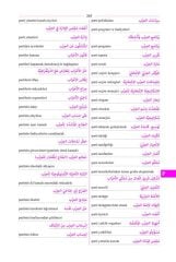 Uluslararası İlişkiler Diploması ve Politika Terimleri Arapça-Türkçe Türkçe-Arapça Sözlüğü