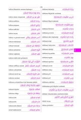 Uluslararası İlişkiler Diploması ve Politika Terimleri Arapça-Türkçe Türkçe-Arapça Sözlüğü