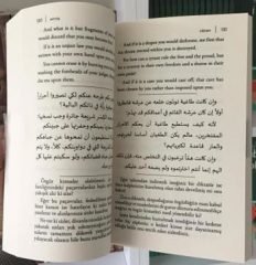 Ermiş (İngilizce-Arapça-Türkçe) Roman