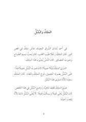 Kral ile Bülbül (Arapça Hikaye)