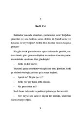 Kırmızı Balık (Arapça Hikaye)